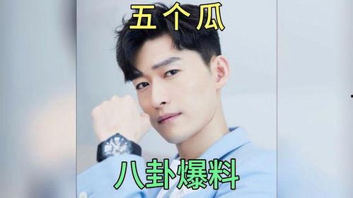 娱乐圈吃瓜爆料的,揭秘明星幕后真相，吃瓜爆料大揭秘