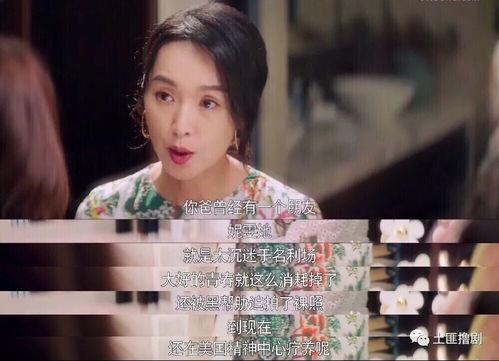 吃瓜直播间娱乐圈是谁主演,娱乐圈风云再起，神秘主演引热议